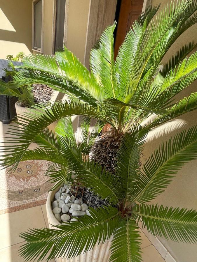 Willa Ancora Del Salento Lecce Zewnętrze zdjęcie